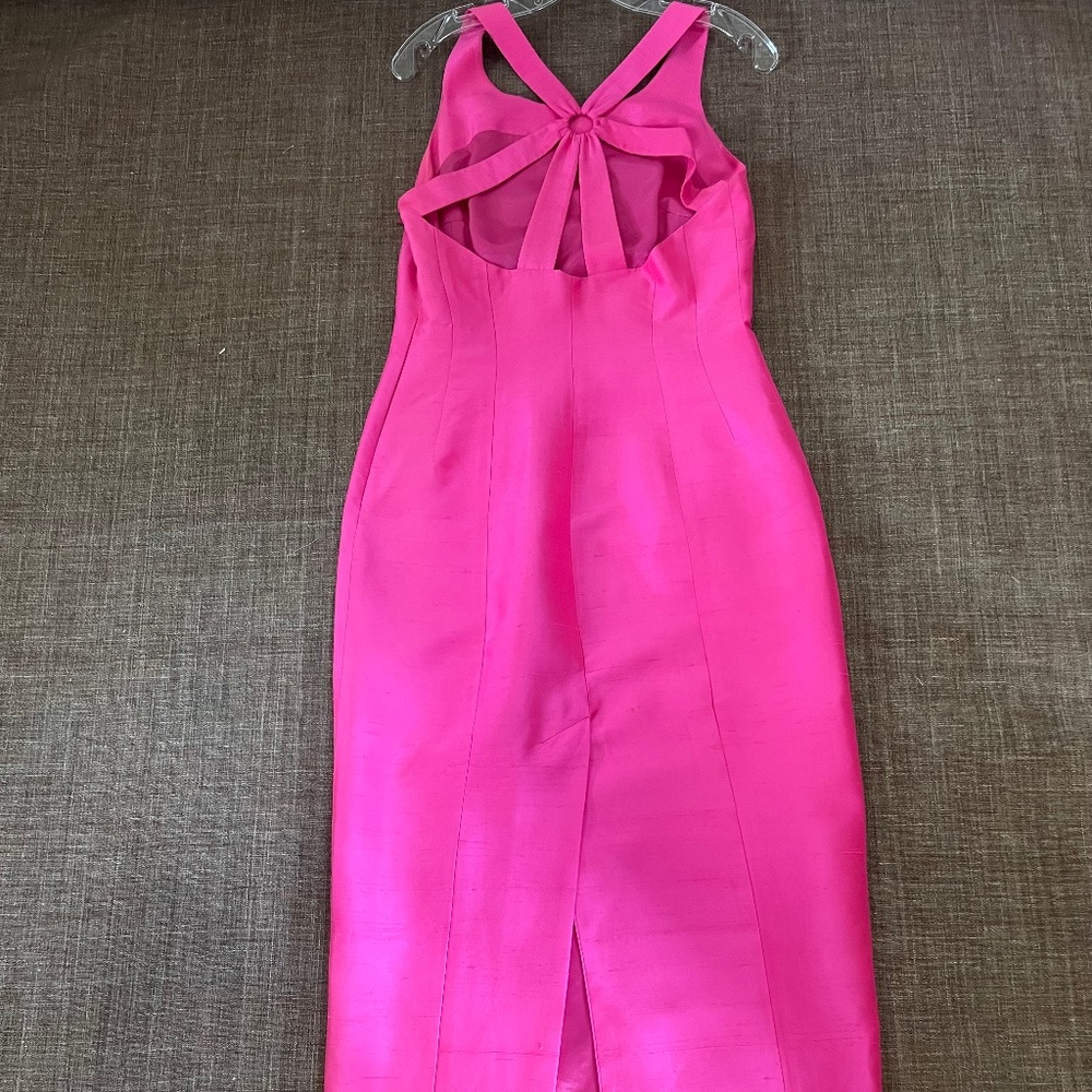 Dana Buckman  gown